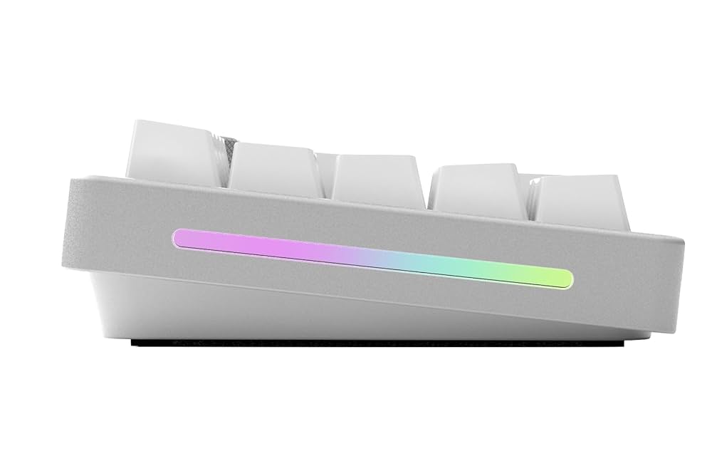 Amazon.com: Glorious GMMK Mechanical Numpad- 10 Key USB